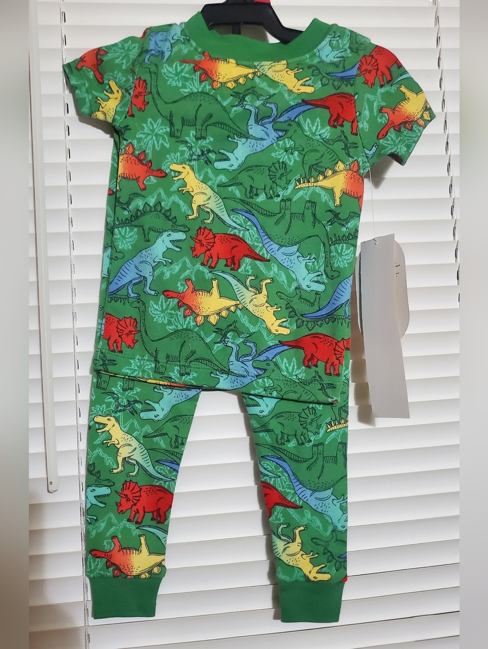 NWT, Wonder Nation Green Dinosaur Kids Pajama Set, 18 Months